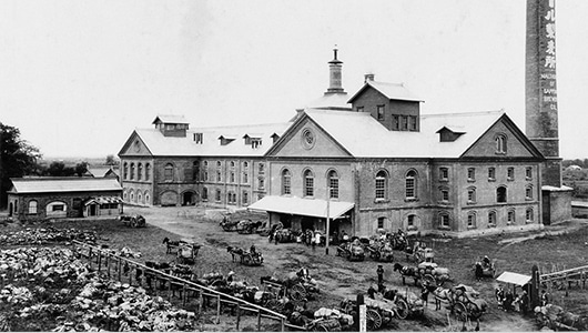 The Sapporo Beer Brewery around 1906