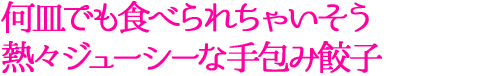 何皿でも食べられちゃいそう熱々ジューシーな手包み餃子