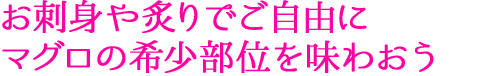 お刺身や炙りでご自由にマグロの希少部位を味わおう