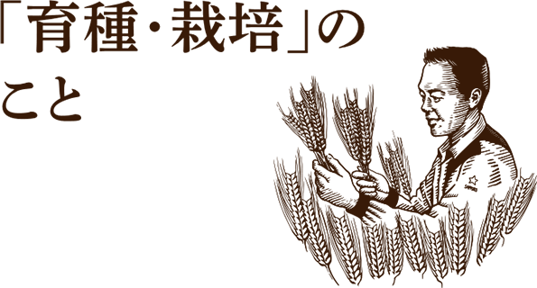 「育種・栽培」のこと