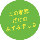 この季節だけのみずみずしさ