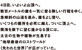 4日目、いよいよ山頂へ。数百メートルの崖を一気に登る険しい行程をゆく。急傾斜の山道を進み、崖をよじ登り、いくつもの難所を必死に越え、ついに頂上へ。雲海を眼下に望む遙かなる頂には、太古の生物や植物が生息する“地球最後のロストワールド(失われた世界)”が広がっていた。