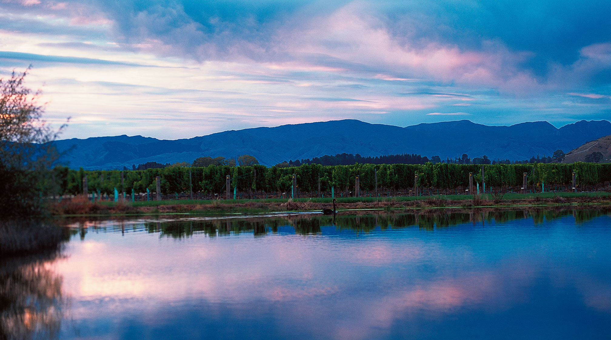 Central Otago