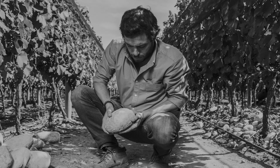 Mountain wine