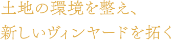 土地の環境を整え、 新しいヴィンヤードを拓く