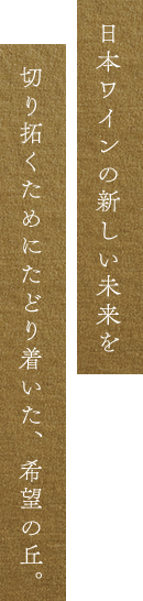 日本ワインの新しい未来を切り拓くためにたどり着いた、希望の丘。